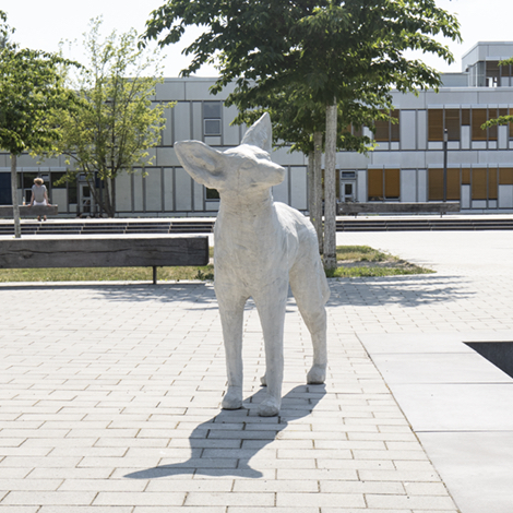 fu-berlin_kojote_coyote_02